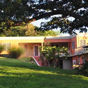 https://isla-hermosa-guesthouse.top-hotels-puertorico.com